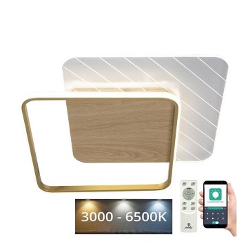 LED Zatemnitvena stropna svetilka LED/60W/230V 3000-6500K + Daljinski upravljalnik