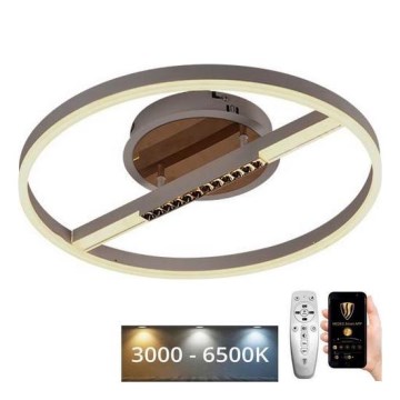 LED Zatemnitvena stropna svetilka LED/60W/230V 3000-6500K + Daljinski upravljalnik