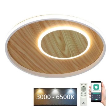 LED Zatemnitvena stropna svetilka LED/65W/230V 3000-6500K rjava + Daljinski upravljalnik