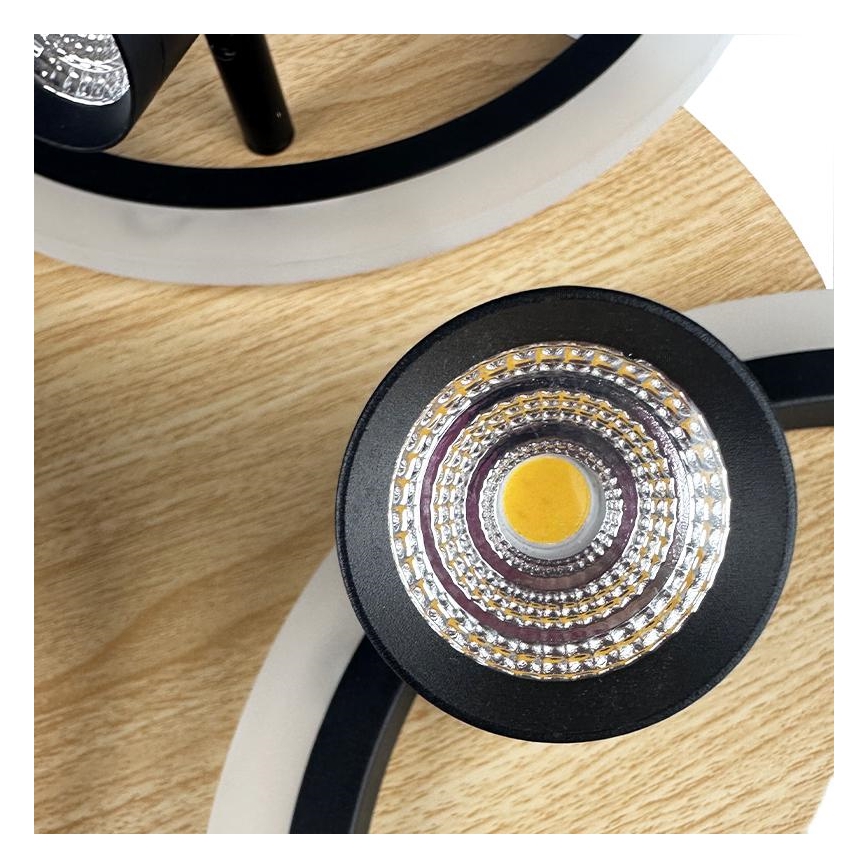 LED Zatemnitvena stropna svetilka LED/70W/230V 3000-6500K črna/rjava + Daljinski upravljalnik