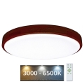 LED Zatemnitvena stropna svetilka LENA LED/60W/230V 3000-6500K hrast + Daljinski upravljalnik