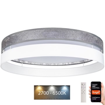 LED Zatemnitvena stropna svetilka LIMA LED/36W/230V 2700-6500K Wi-Fi Tuya + Daljinski upravljalnik srebrna/bela