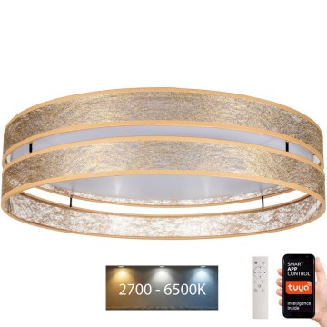 LED Zatemnitvena stropna svetilka LIMA LED/36W/230V 2700-6500K Wi-Fi Tuya + Daljinski upravljalnik zlata