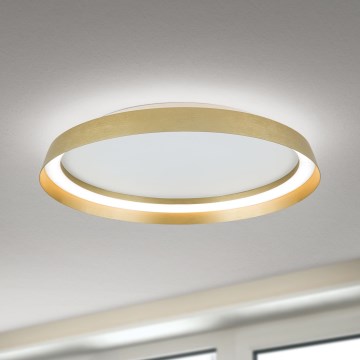 LED Zatemnitvena stropna svetilka MANTA LED/38W/230V 2700/3000/4000K pr. 45 cm zlata