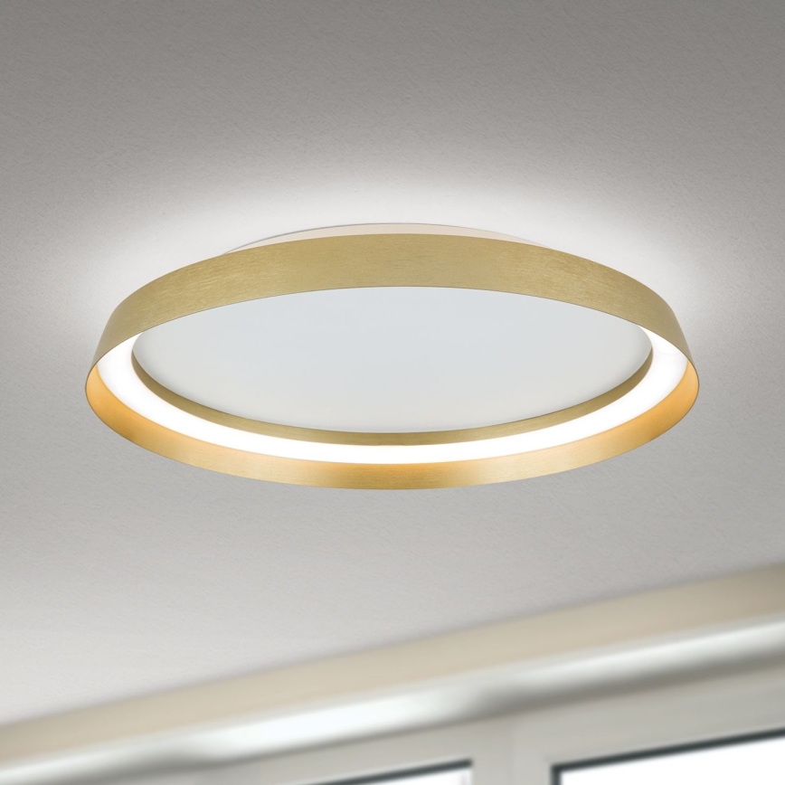 LED Zatemnitvena stropna svetilka MANTA LED/38W/230V 2700/3000/4000K pr. 45 cm zlata