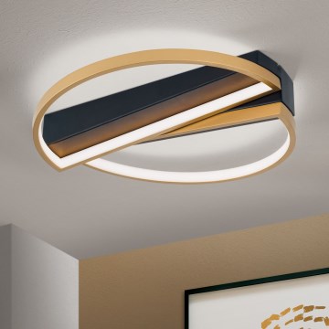 LED Zatemnitvena stropna svetilka OLGA LED/28W/230V zlata/črna