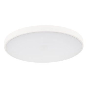 LED Zatemnitvena stropna svetilka PLAFON LED/20W/230V 3000-6500K Wi-Fi bela