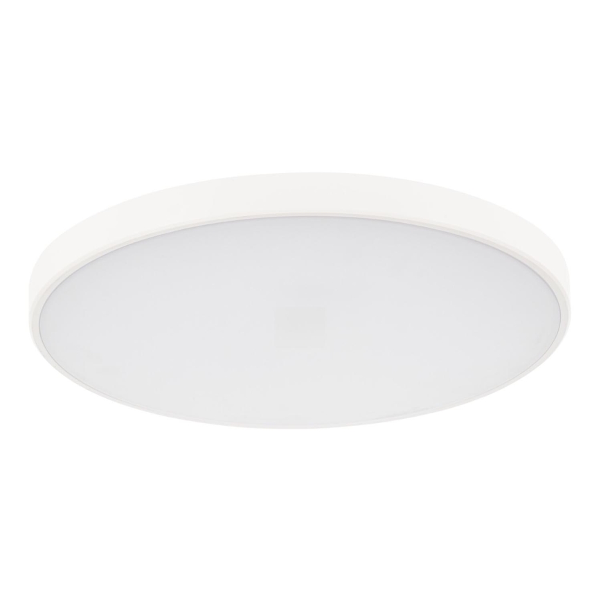 LED Zatemnitvena stropna svetilka PLAFON LED/20W/230V 3000-6500K Wi-Fi bela