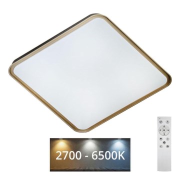 LED Zatemnitvena stropna svetilka UNA LED/60W/230V 2700-6500K 50x50 cm + Daljinski upravljalnik