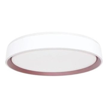 LED Zatemnitvena stropna svetilka z glasovnim nadzorom OPAL LED/48W/230V 2700-6500K bela + Daljinski upravljalnik