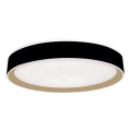 LED Zatemnitvena stropna svetilka z glasovnim nadzorom OPAL LED/48W/230V 2700-6500K črna + Daljinski upravljalnik