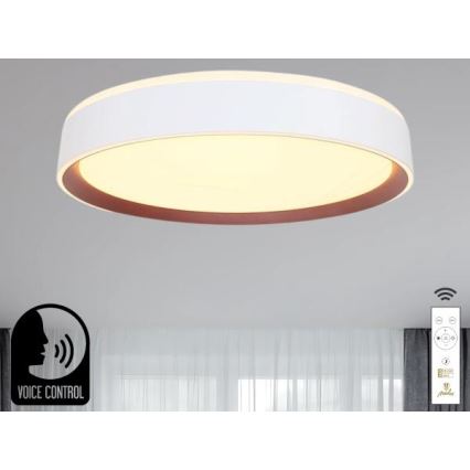 LED Zatemnitvena stropna svetilka z glasovnim nadzorom OPAL LED/48W/230V 2700-6500K bela + Daljinski upravljalnik