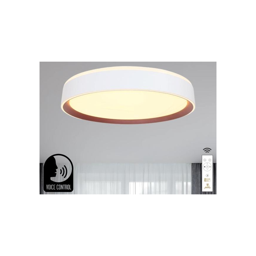LED Zatemnitvena stropna svetilka z glasovnim nadzorom OPAL LED/48W/230V 2700-6500K bela + Daljinski upravljalnik
