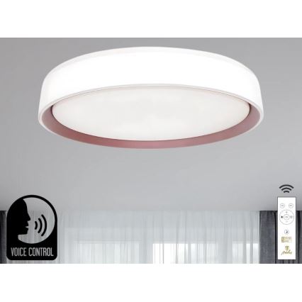 LED Zatemnitvena stropna svetilka z glasovnim nadzorom OPAL LED/48W/230V 2700-6500K bela + Daljinski upravljalnik