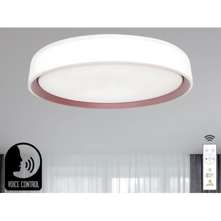 LED Zatemnitvena stropna svetilka z glasovnim nadzorom OPAL LED/48W/230V 2700-6500K bela + Daljinski upravljalnik