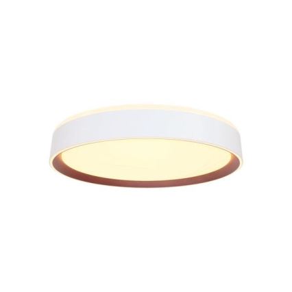 LED Zatemnitvena stropna svetilka z glasovnim nadzorom OPAL LED/48W/230V 2700-6500K bela + Daljinski upravljalnik