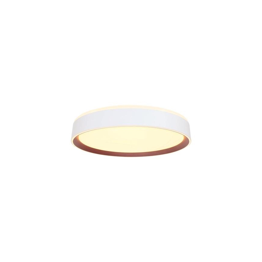 LED Zatemnitvena stropna svetilka z glasovnim nadzorom OPAL LED/48W/230V 2700-6500K bela + Daljinski upravljalnik