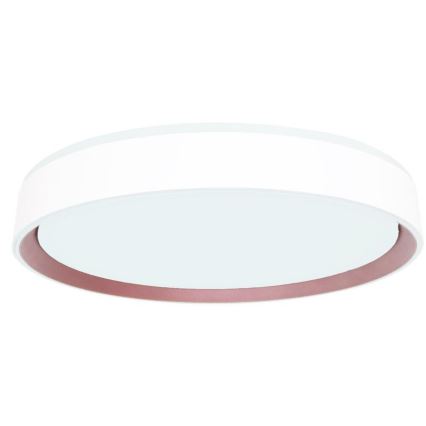 LED Zatemnitvena stropna svetilka z glasovnim nadzorom OPAL LED/48W/230V 2700-6500K bela + Daljinski upravljalnik