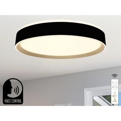 LED Zatemnitvena stropna svetilka z glasovnim nadzorom OPAL LED/48W/230V 2700-6500K črna + Daljinski upravljalnik