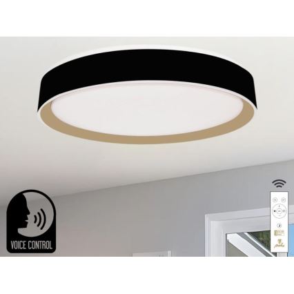 LED Zatemnitvena stropna svetilka z glasovnim nadzorom OPAL LED/48W/230V 2700-6500K črna + Daljinski upravljalnik