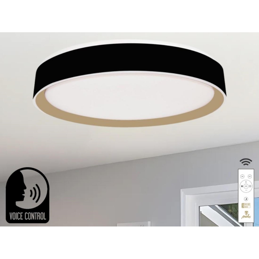 LED Zatemnitvena stropna svetilka z glasovnim nadzorom OPAL LED/48W/230V 2700-6500K črna + Daljinski upravljalnik