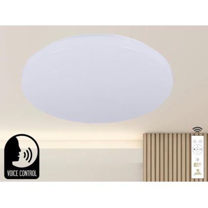 LED Zatemnitvena stropna svetilka z glasovnim nadzorom OPAL LED/48W/230V 2700-6500K bela + Daljinski upravljalnik
