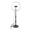LED Zatemnitvena svetilka na stojalu z nosilcem LED/6W/USB 2700-6700K