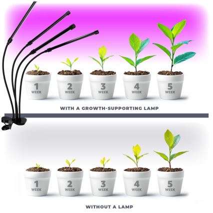 LED Zatemnitvena fleksibilna namizna svetilka s sponko za gojenje rastlin VITARO 4xLED/10W/230V črna