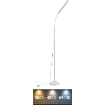 LED Zatemnitvena talna svetilka SIGNUS LED/10W/230V 3000/4500/6500K bela