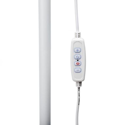 LED Zatemnitvena talna svetilka SIGNUS LED/10W/230V 3000/4500/6500K bela