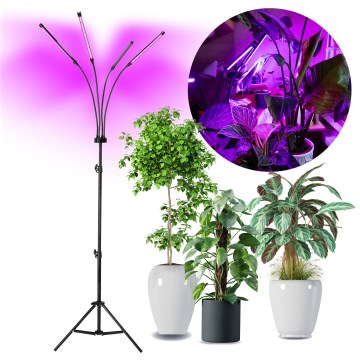 LED Zatemnitvena talna svetilka za gojenje rastlin VITARO 4xLED/7,5W/230V črna