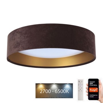 LED Zatemnitvena tropna svetilka SMART GALAXY LED/24W/230V pr. 45 cm Wi-Fi Tuya + Daljinski upravljalnik