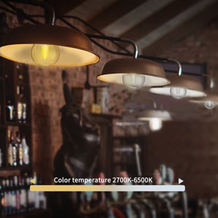 LED Zatemnitvena žarnica FILAMENT G45 E27/4,5W/230V 2700-6500K Wi-Fi - Aigostar