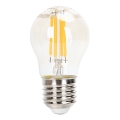 LED Zatemnitvena žarnica FILAMENT G45 E27/4W/230V 2200K - Aigostar