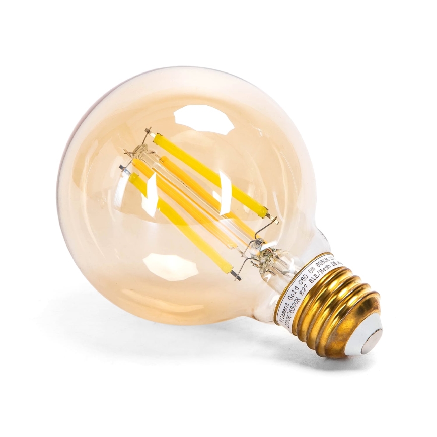 LED Zatemnitvena žarnica FILAMENT MESH Pametni G80 E27/6W/230V 2700-6500K - Aigostar