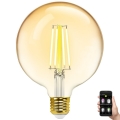 LED Zatemnitvena žarnica FILAMENT MESH Pametni G125 E27/6W/230V 2700-6500K - Aigostar