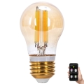 LED Zatemnitvena žarnica FILAMENT MESH Pametni G45 E27/4,5W/230V 2700-6500K - Aigostar