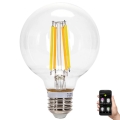 LED Zatemnitvena žarnica FILAMENT MESH Pametni G80 E27/6W/230V 2700-6500K - Aigostar