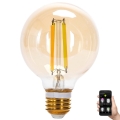 LED Zatemnitvena žarnica FILAMENT MESH Pametni G80 E27/6W/230V 2700-6500K - Aigostar