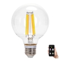 LED Zatemnitvena žarnica FILAMENT MESH Pametni G95 E27/6W/230V 2700-6500K - Aigostar