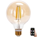 LED Zatemnitvena žarnica FILAMENT MESH Pametni G95 E27/6W/230V 2700-6500K - Aigostar
