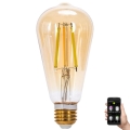 LED Zatemnitvena žarnica FILAMENT MESH Pametni ST64 E27/6W/230V 2700-6500K - Aigostar