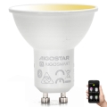 LED Zatemnitvena žarnica GU10/6,5W/230V 2700-6500K - Aigostar
