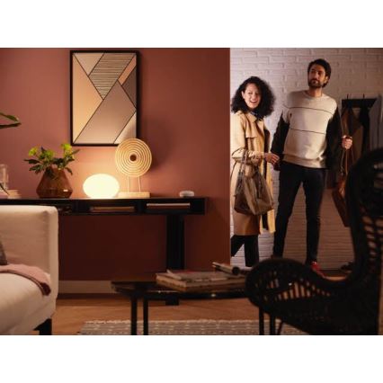 LED Zatemnitvena žarnica Philips HUE WHITE E27/9W/230V
