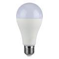 LED Zatemnitvena žarnica SAMSUNG CHIP A65 E27/17W/230V 6400K