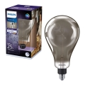 LED Zatemnitvena žarnica SMOKY VINTAGE Philips A160 E27/6,5W/230V 4000K