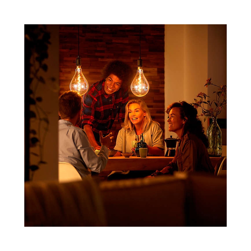 LED Zatemnitvena žarnica VINTAGE DYI E27/4W/230V 2700K - Leuchten Direkt 0846