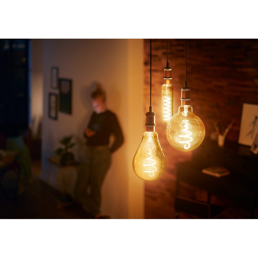 LED Zatemnitvena žarnica VINTAGE Philips A160 E27/6,5W/230V 2000K