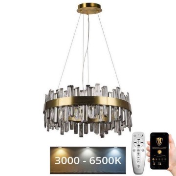 LED Zatemnitveni kristalni lestenec na vrvici LED/80W/230V 3000-6500K + Daljinski upravljalnik