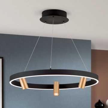 LED Zatemnitveni lestenec na vrvici BERLIN LED/50W/230V črna/zlata